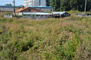 生境1.jpg