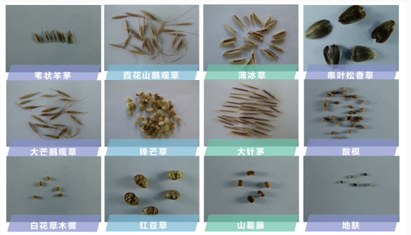 微信截图_20231013144241.png