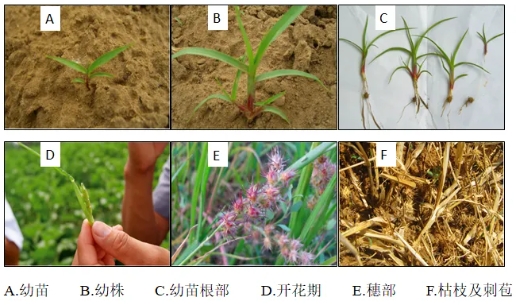 微信截图_20240624084237.png