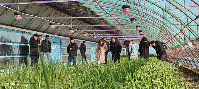微信图片_20241226093715_副本.png