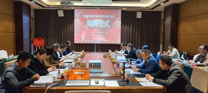 图2 座谈交流_副本.png
