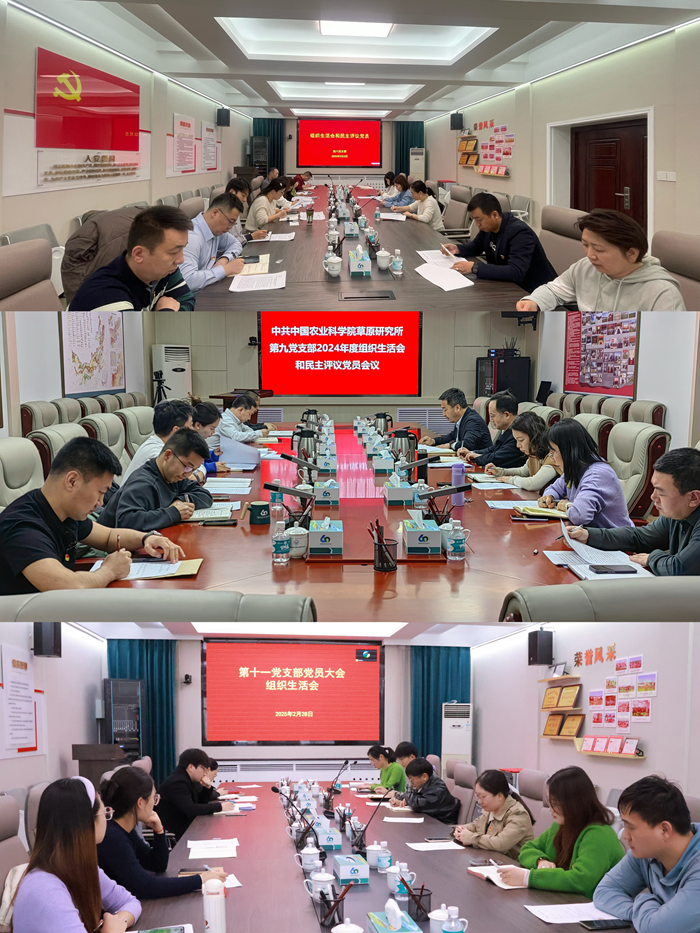 图片3_副本.png