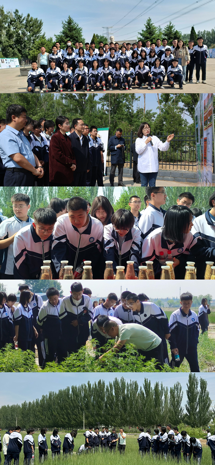 图片3_副本.png
