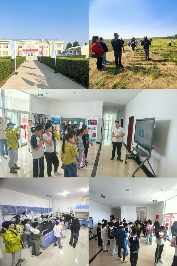 图片4_副本.png