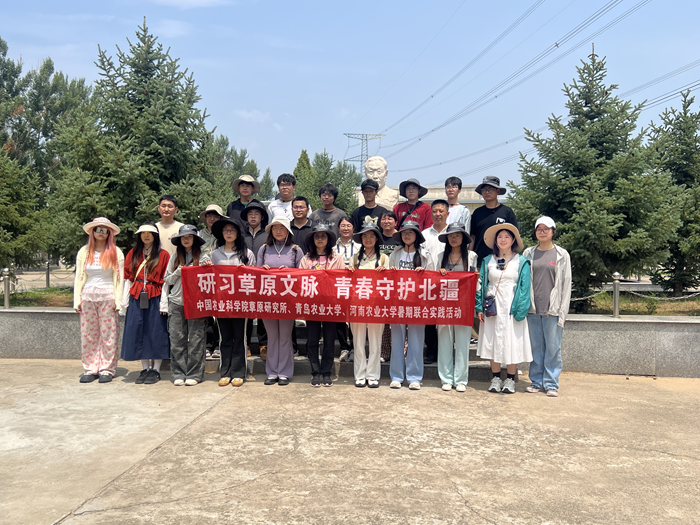 未命名_副本3.png