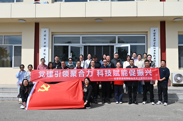 未命名_副本4.png