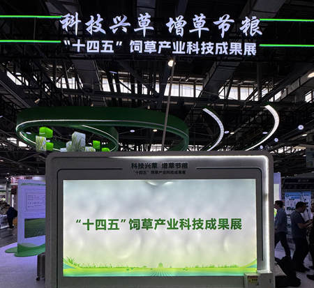 未命名_副本2.png