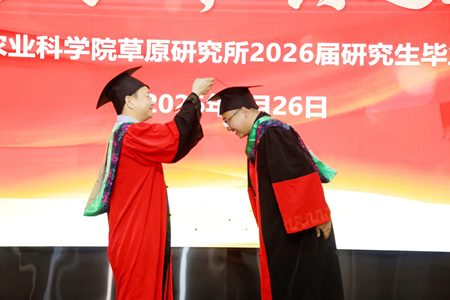 未命名_副本22.png