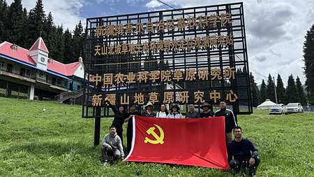 未命名_副本7.png