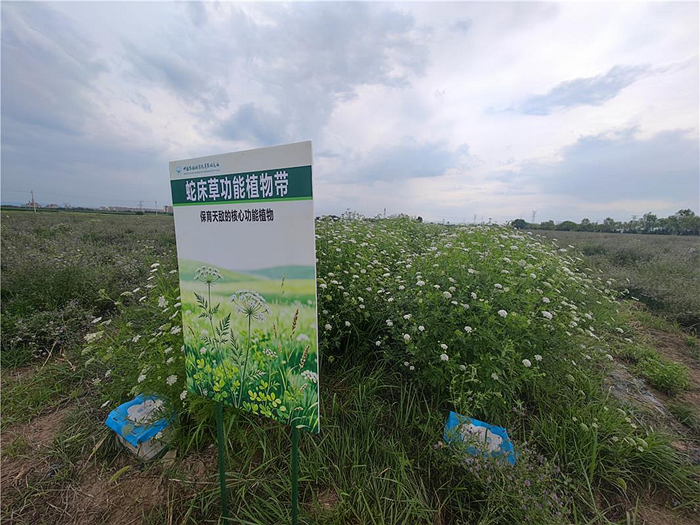 未命名_副本2.png