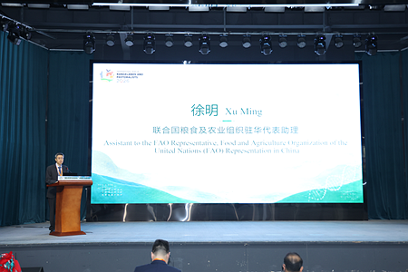 未命名_副本44.png