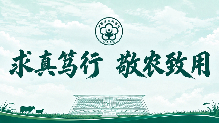 未命名_副本1.png