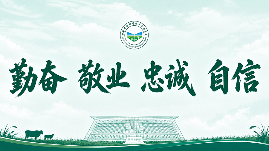 未命名_副本2.png